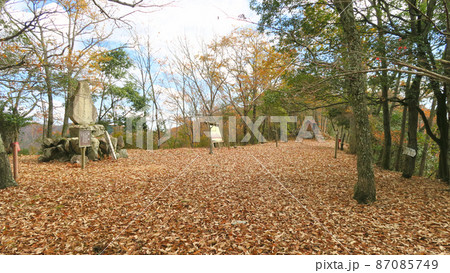 天神山城の本丸　岡山県和気郡和気町 87085749