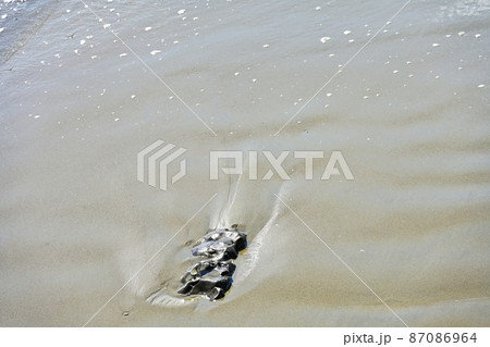 砂浜 砂浜 87086964