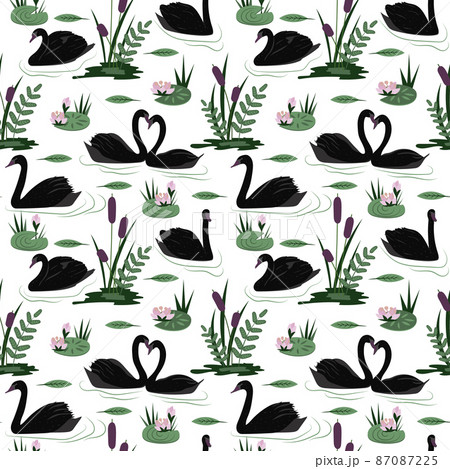 Colorful seamless pattern with gorgeous wild black swans floating in marsh or swamp among water plants. Vector illustration 87087225