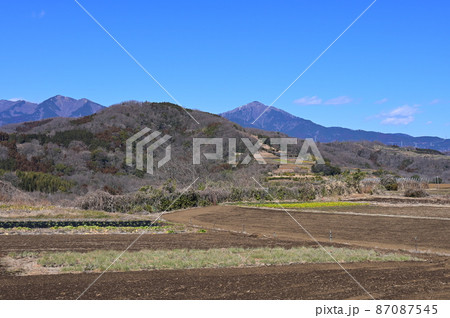 大井町の畑風景《大井町》 87087545