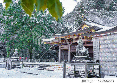 雪の岐阜護國神社〈岐阜県岐阜市〉 雪の岐阜護國神社〈岐阜県岐阜市〉 87088273