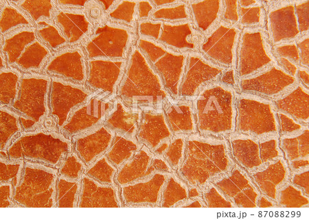 Cracky old brown textures Cracky old brown textures 87088299
