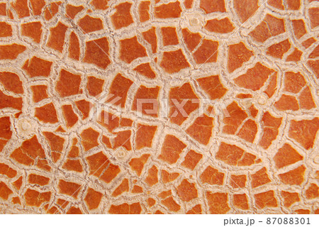 Cracky old brown textures Cracky old brown textures 87088301
