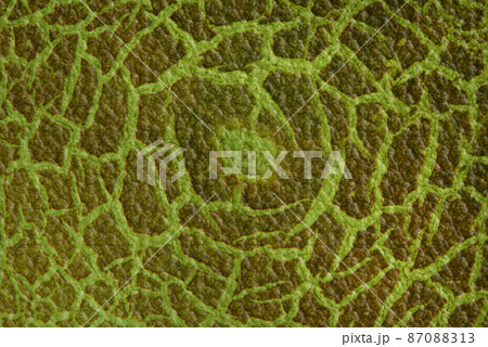 Cracky old green textures. Cracky old green textures. 87088313
