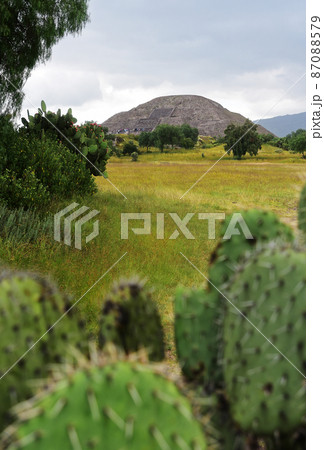 ラテンアメリカ最大の都市遺跡、メキシコのテオティワカン Teotihuacan ラテンアメリカ最大の都市遺跡、メキシコのテオティワカン Teotihuacan 87088579