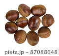Fresh chestnut seeds 87088648
