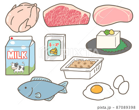 タンパク質の食材のイラストセット 肉 魚 乳製品 豆製品 玉子 のイラスト素材