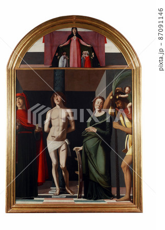 Alvise Vivarini: Madonna patroness and saints Alvise Vivarini: Madonna patroness and saints 87091146