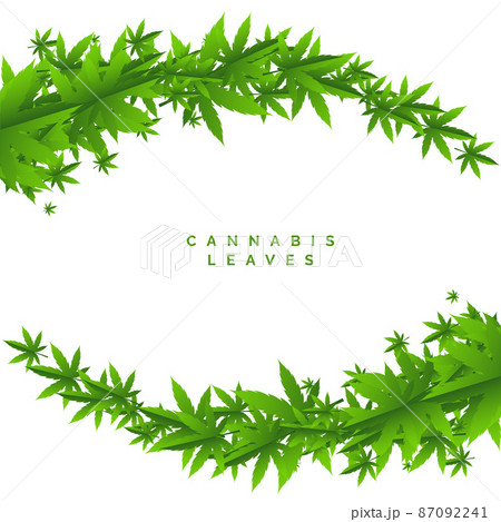 Weed Marijuana Green Leaves Backgroundのイラスト素材