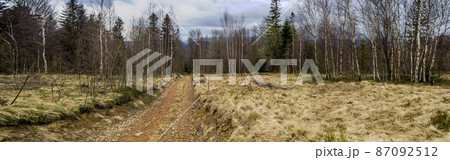 forest road in the Carpathian mountains 87092512