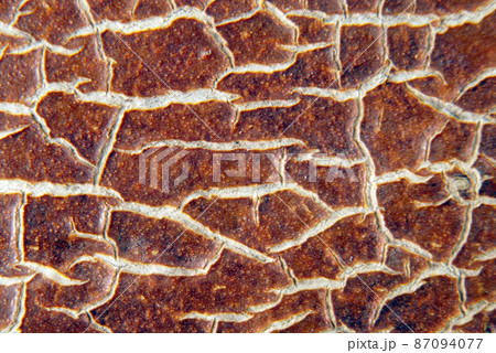 Cracky old brown textures Cracky old brown textures 87094077