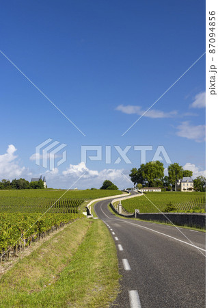 Typical vineyards near Chateau Pichon Longueville Comtesse de Lalande, Bordeaux, Aquitaine, France Typical vineyards near Chateau Pichon Longueville Comtesse de Lalande, Bordeaux, Aquitaine, France 87094856