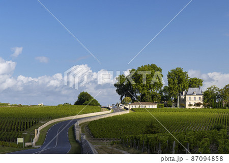 Typical vineyards near Chateau Pichon Longueville Comtesse de Lalande, Bordeaux, Aquitaine, France 87094858