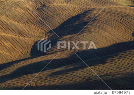 Typical Tuscan morning autumn landscape, Val D'Orcia, Tuscany, Italy 87094975