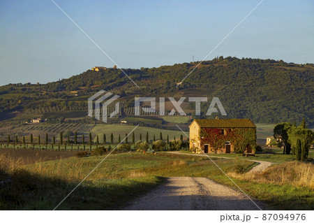 Typical Tuscan morning autumn landscape, Val D'Orcia, Tuscany, Italy Typical Tuscan morning autumn landscape, Val D'Orcia, Tuscany, Italy 87094976