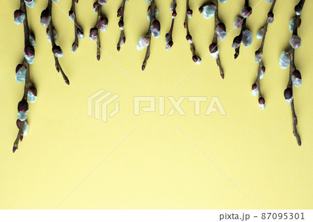 Spring Easter top view background with willow twigs 87095301