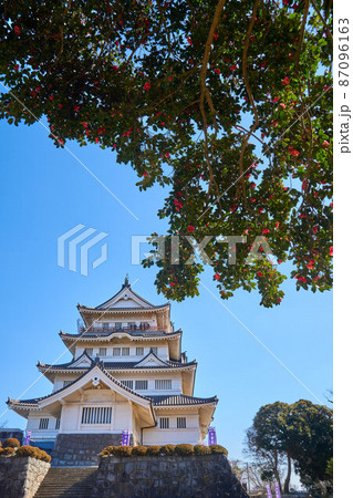 亥鼻城（千葉城）と椿　千葉市 87096163