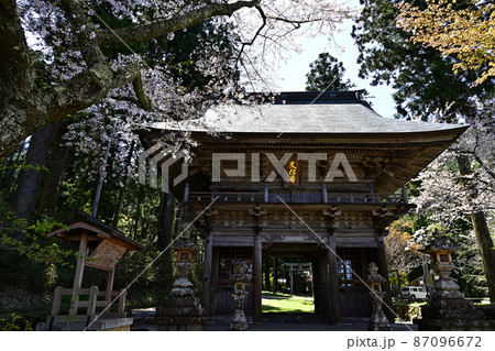 文保寺の桜 文保寺の桜 87096672