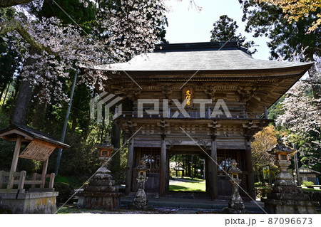 文保寺の桜 文保寺の桜 87096673