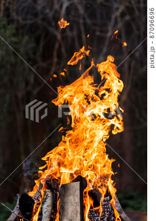 Bright orange fire from burning birch wood. Bright orange fire from burning birch wood. 87096696