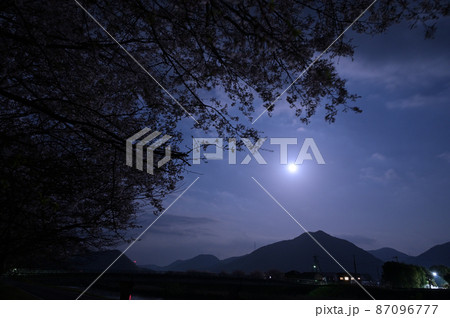 丹波の桜 丹波の桜 87096777