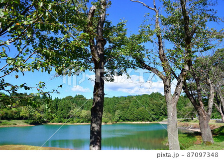 入広瀬　鏡ヶ池（新潟県） 87097348