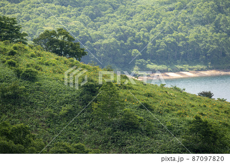 野反湖の湖畔　夏景色【群馬県野反湖エリア】 87097820