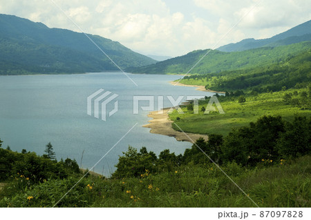 野反湖の湖畔　夏景色【群馬県野反湖エリア】 87097828