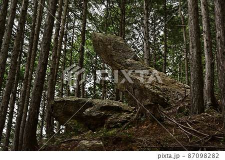 向山連山より 87098282