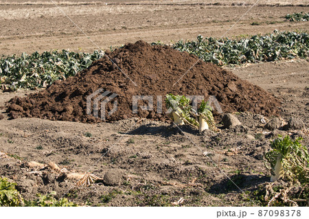 野菜作りに肥料は大切 87098378