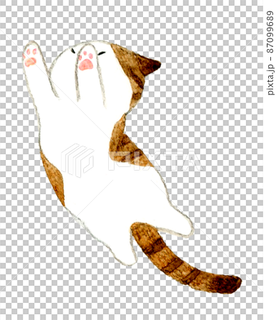 猫のかわいい手描き水彩イラスト　お腹を見せてジャンプするサバ白猫 87099689