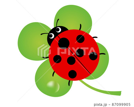 てんとう虫と四つ葉のクローバーのイラストのイラスト素材 [87099905