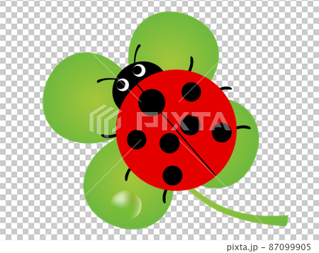 てんとう虫と四つ葉のクローバーのイラスト てんとう虫と四つ葉のクローバーのイラスト 87099905