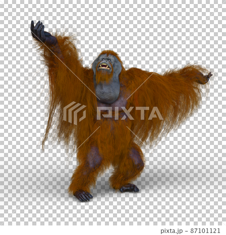 猩猩 87101121