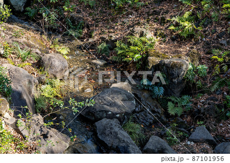 有栖川記念公園の冬 有栖川記念公園の冬 87101956