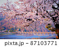 京都　嵐山の渡月橋と桜 87103771