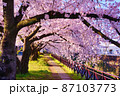 京都　天神川　桜のトンネル 87103773