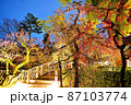 京都　北野天満宮　梅のライトアップ 87103774