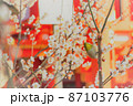京都　北野天満宮の梅とメジロ 87103776