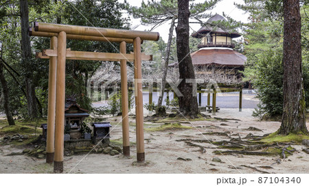 鳥居越しに俳聖殿を見る園内風景 87104340