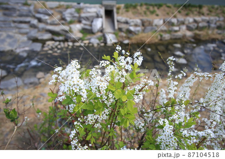 河川 小川 トレイル 87104518
