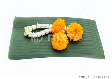 Crown flower with marigold garland on banana leaf Crown flower with marigold garland on banana leaf 87105171
