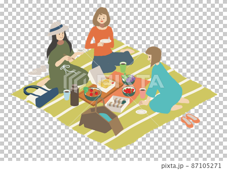 Women enjoying a picnic 87105271