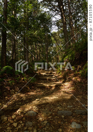 熊野古道より 熊野古道より 87105590