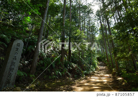 熊野古道より 熊野古道より 87105857