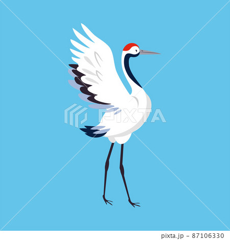 Red Crowned Crane as Long-legged and Long-necked Bird Standing with Spread Wings on Blue Background Vector Illustration Red Crowned Crane as Long-legged and Long-necked Bird Standing with Spread Wings on Blue Background Vector Illustration 87106330