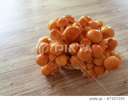 株付きなめこ 87107293