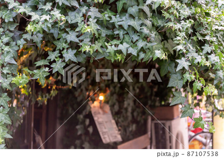 昭和レトロな喫茶店 87107538