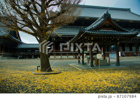 京都 東本願寺の銀杏2021年秋 京都 東本願寺の銀杏2021年秋 87107984