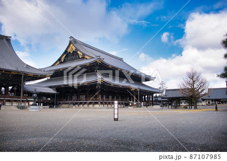京都　東本願寺の銀杏2021年秋 87107985